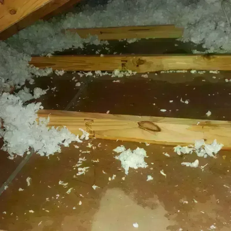 Attic Water Damage in Adair County, IA