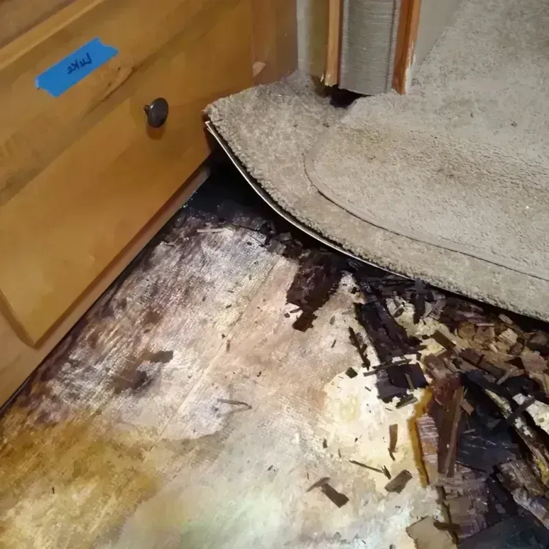 Wood Floor Water Damage in Adair County, IA